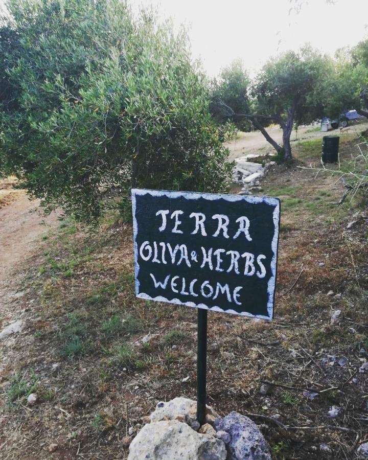 Terraoliva&Herbs Vátos Eksteriør billede